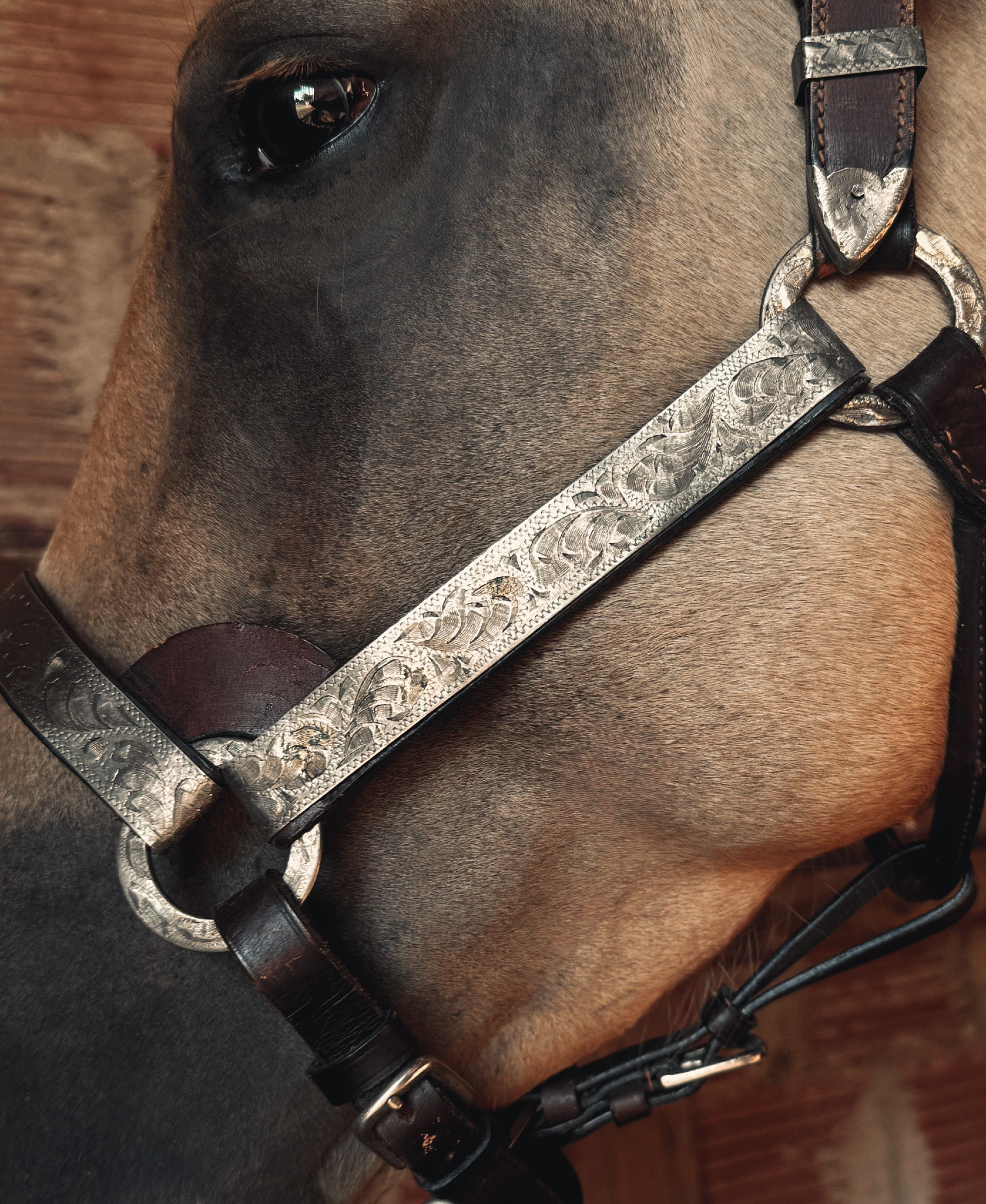 Vintage Show Halter
