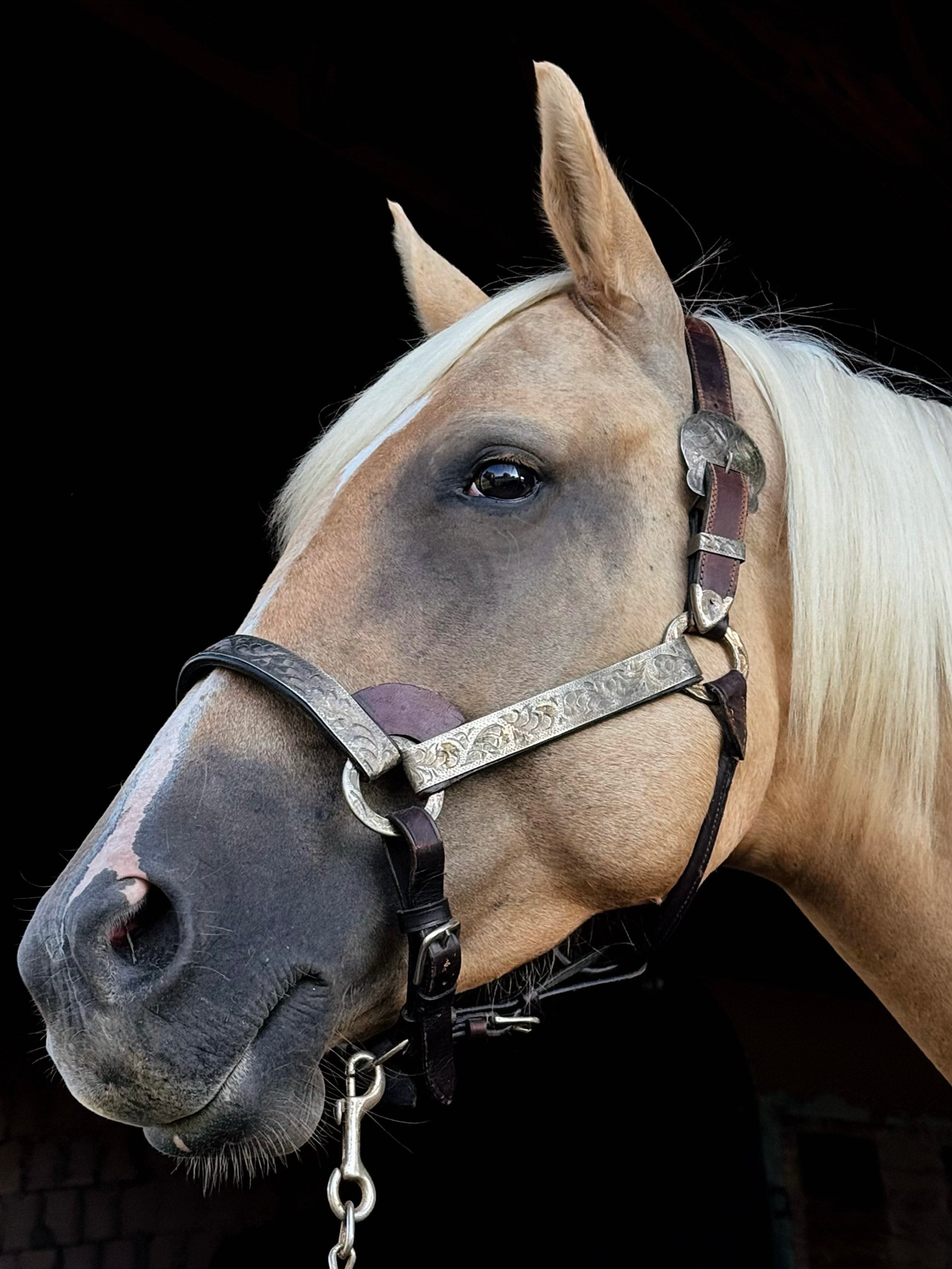 Vintage Show Halter