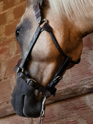 Vintage Show Halter
