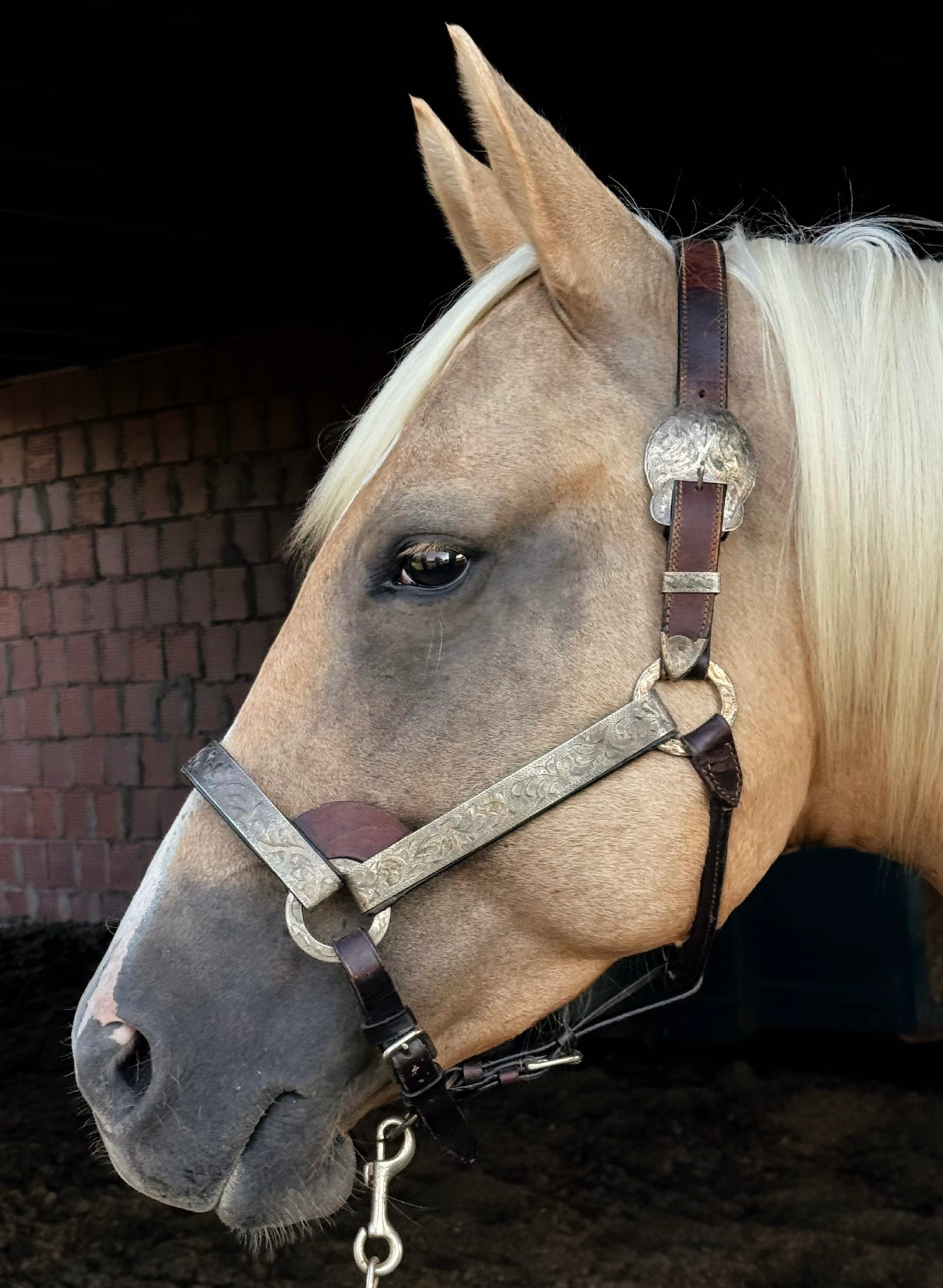 Vintage Show Halter