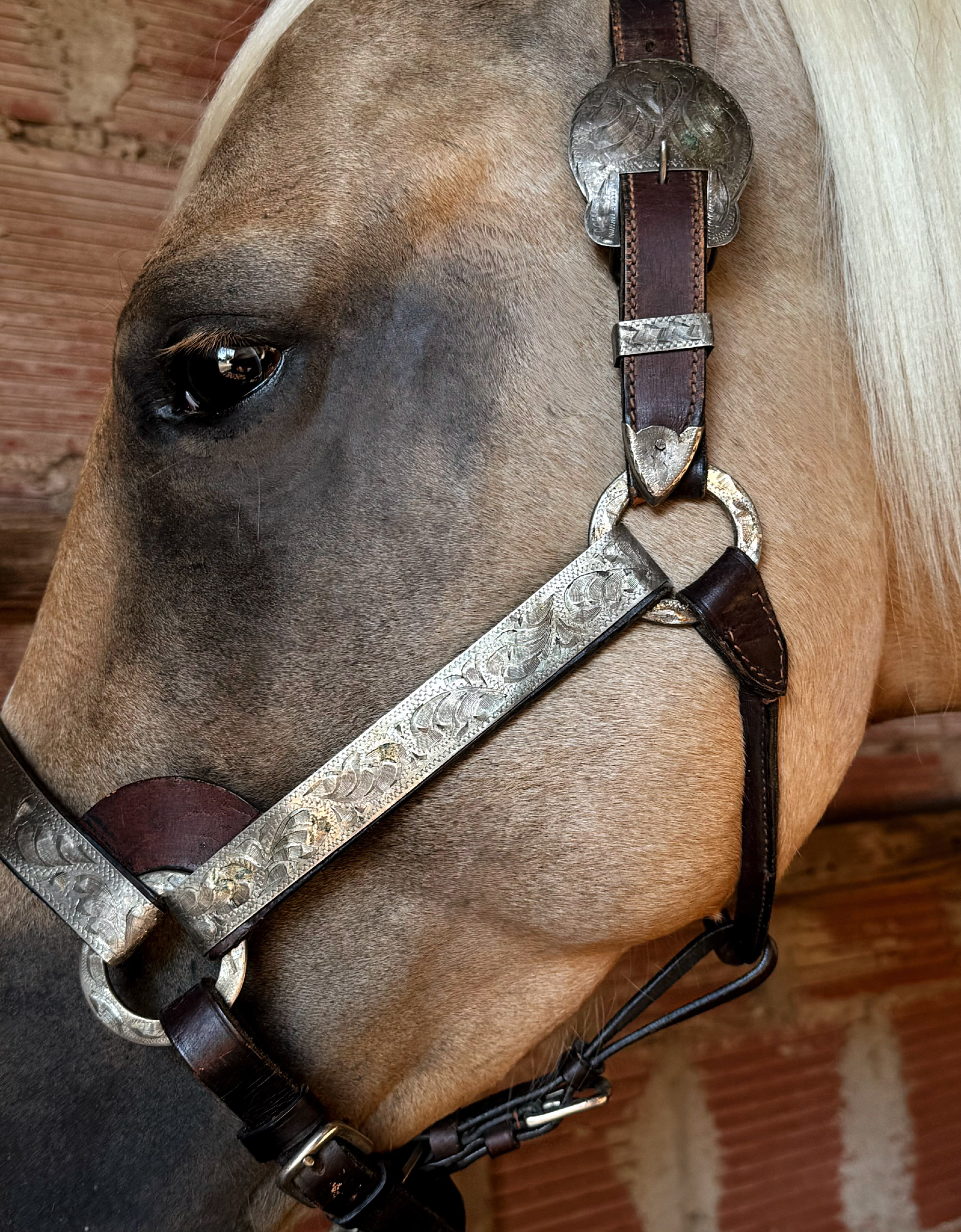 Vintage Show Halter