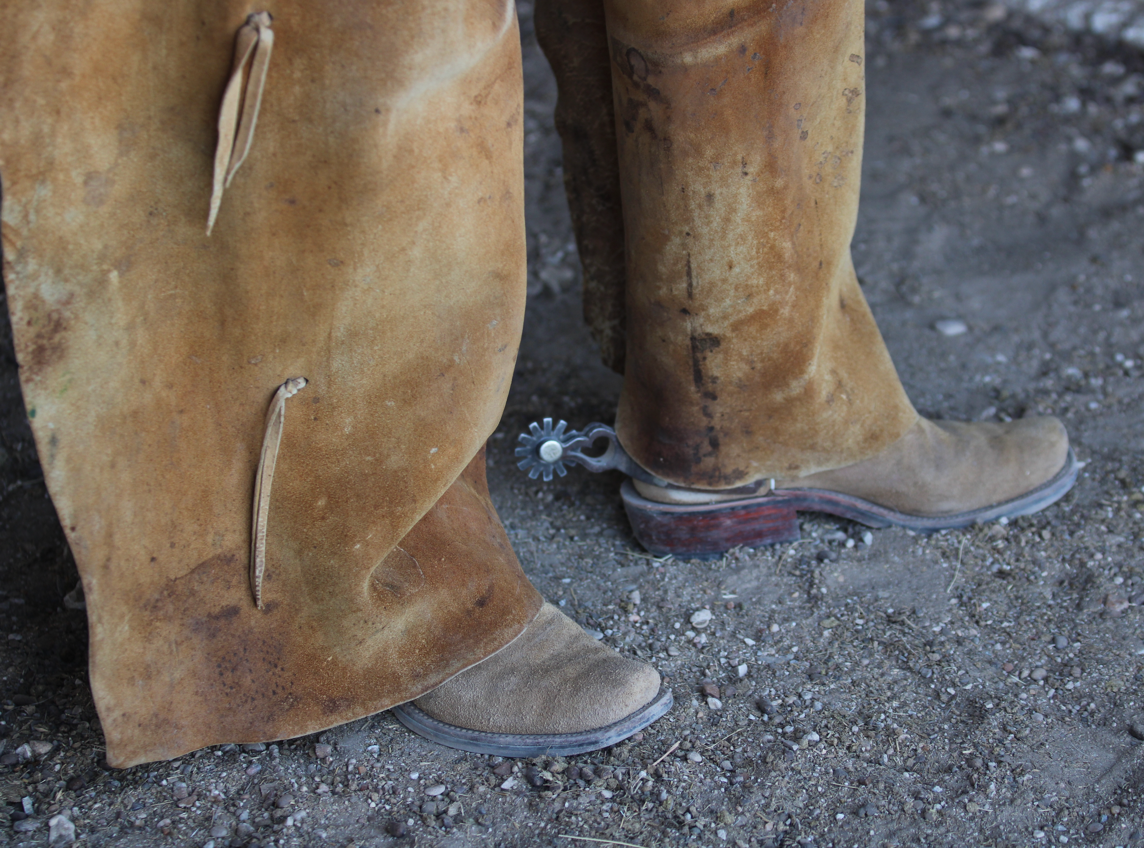 Vintage Batwing Chaps