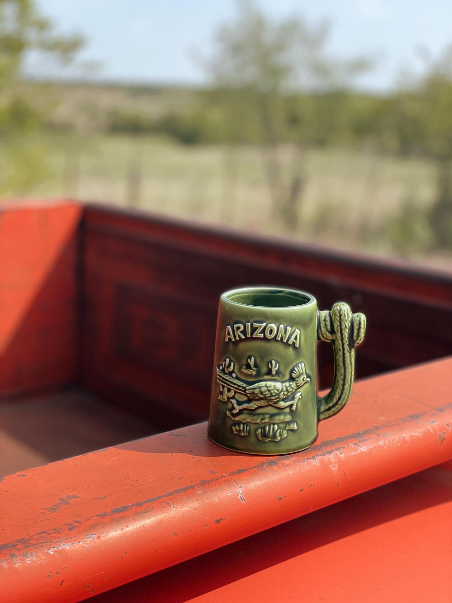 Vintage Roadrunner Mug from Arizona