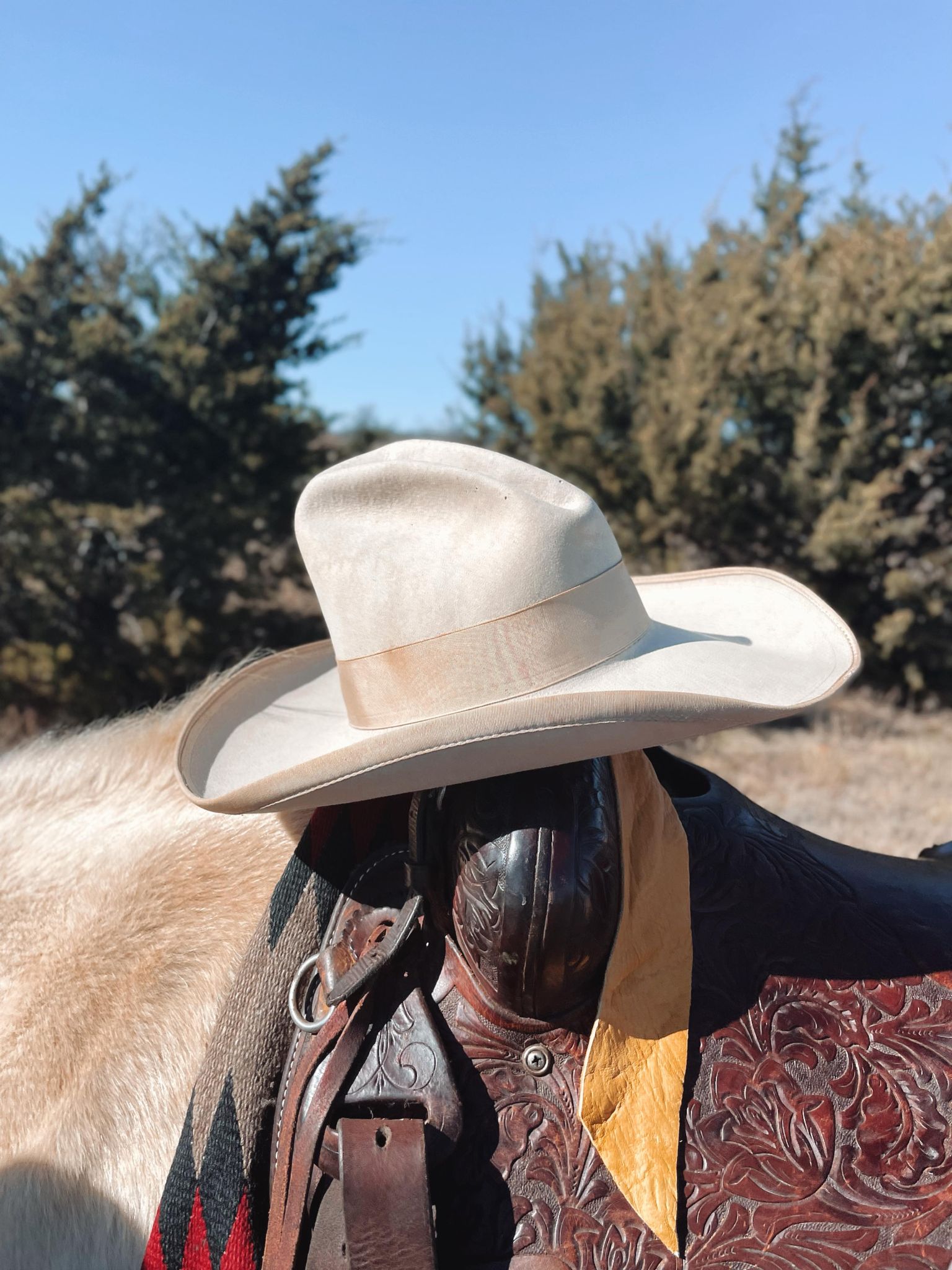 Vintage John B. Stetson Cowboy Hat