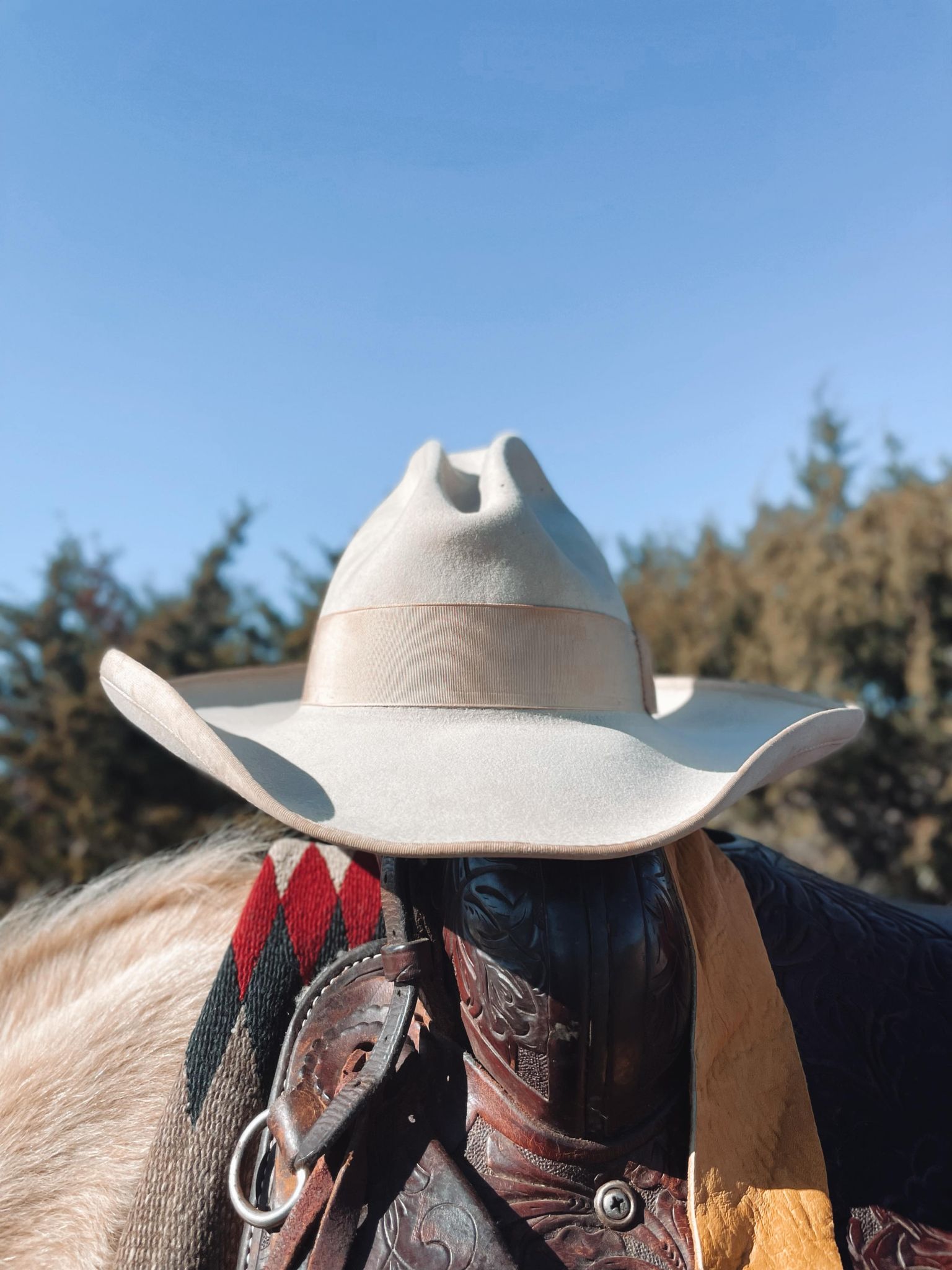 Vintage John B. Stetson Cowboy Hat