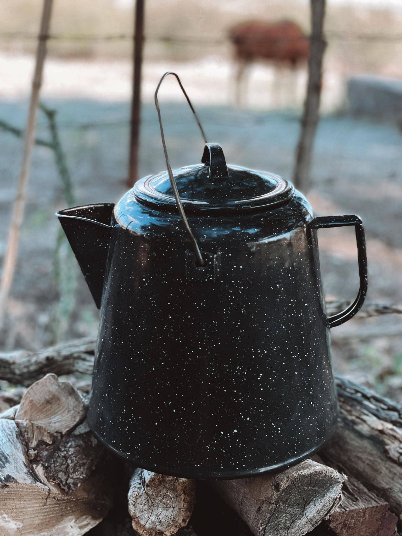 Vintage Aluminum Cowboy Coffee Pot Percolator Camping Camp Stove -   Log Cabin Decor
