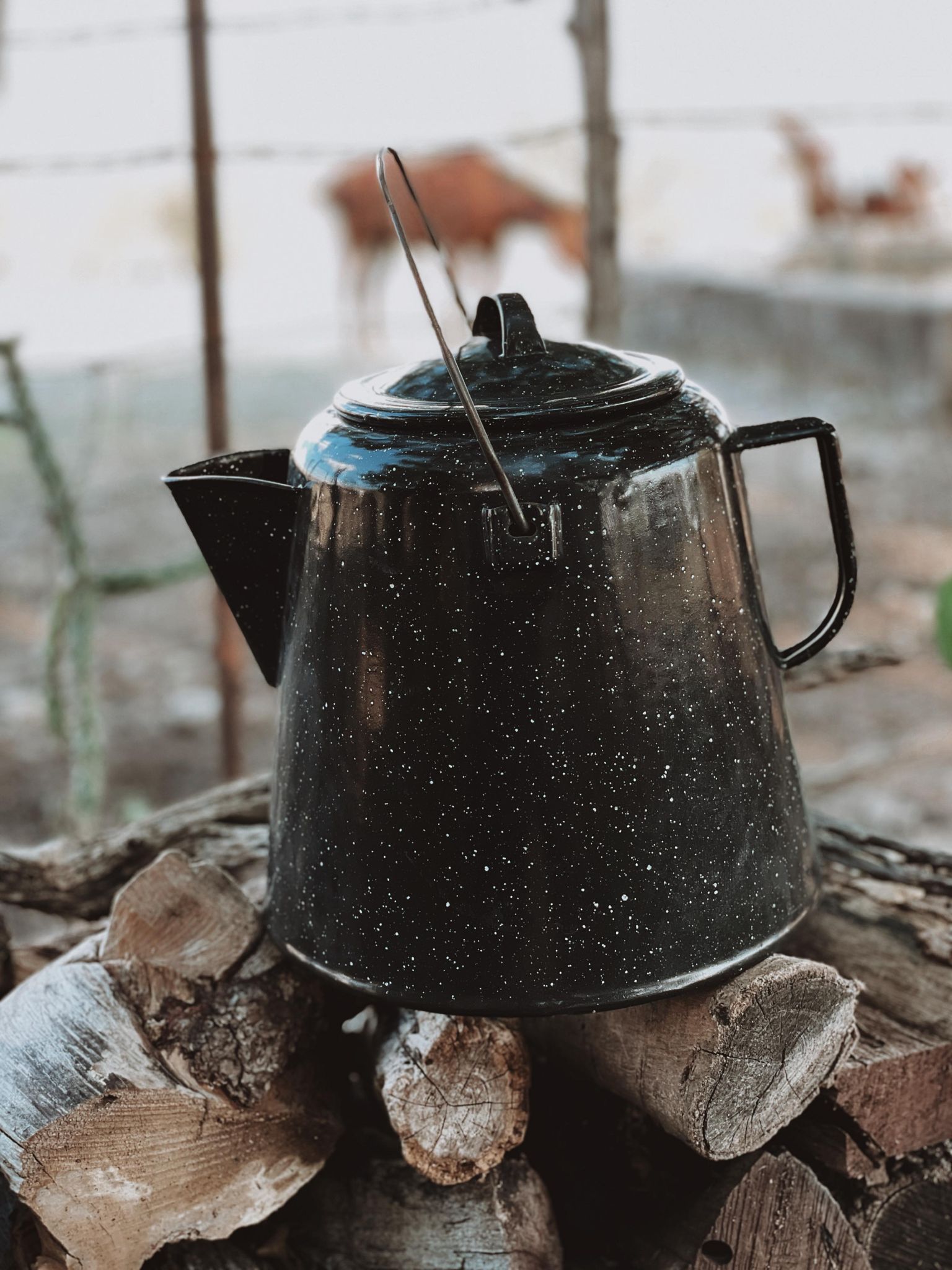 Vintage Metal Percolator Cowboy Coffee Pot 