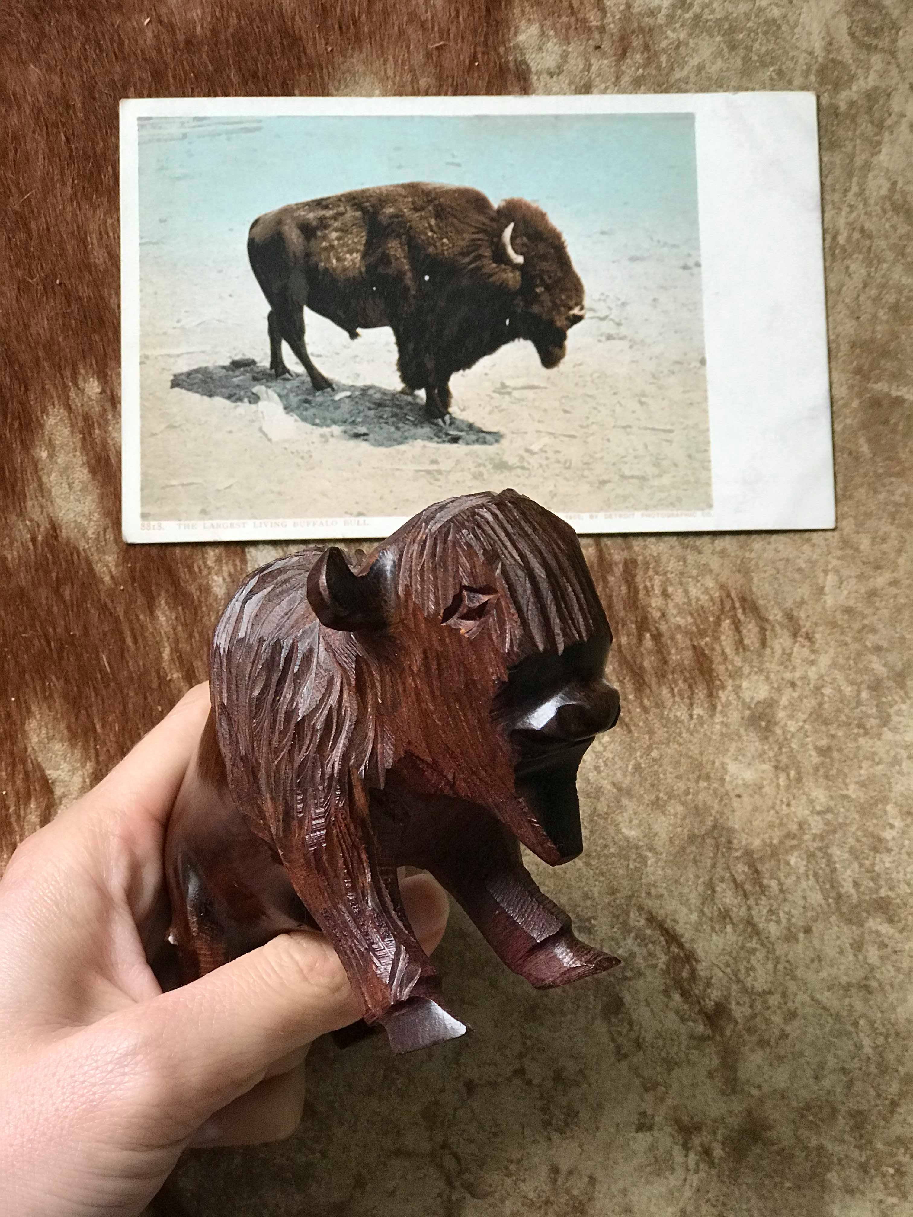 Hand Carved Ironwood Buffalo