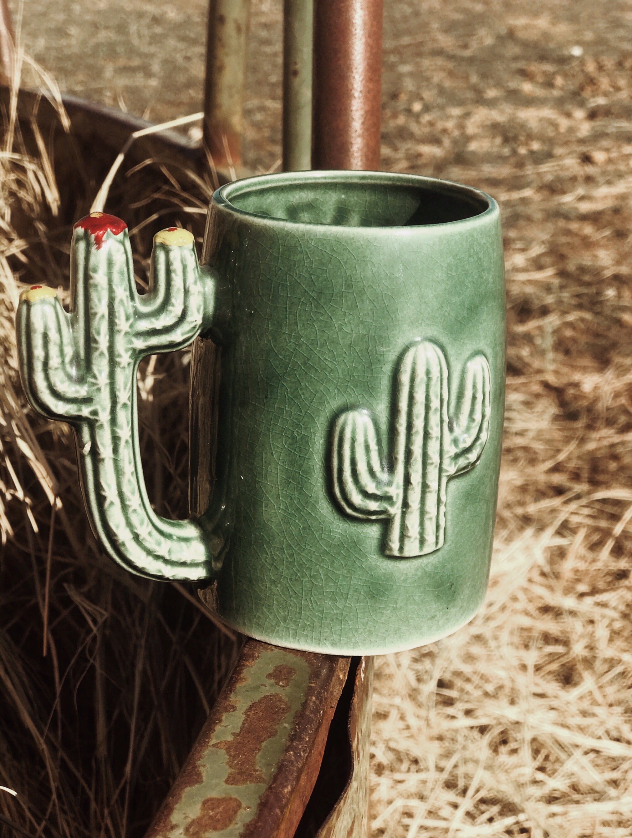 Vintage Souvenir Mug from Arizona